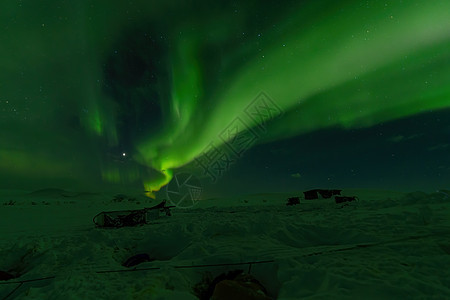 在瑞典拉普兰睡觉的雪橇狗上空的北极光绿色星星北极星旅行天文学气氛极光奇观背景图片