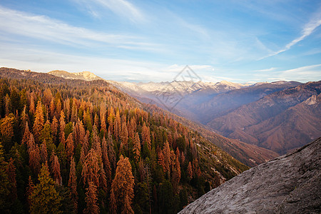 矢量山美国加利福尼亚州塞夸亚国家公园地标全景荒野假期旅行爬坡岩石木头旅游日落背景