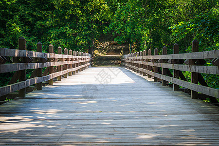 深森林的旧木环桥横河自然景观叶子旅行步道农村露天老桥树木时刻木桥图片