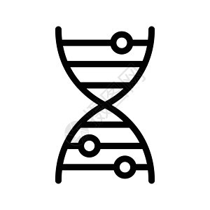 遗传的药品生物学染色体基因组生活生物遗传学基因化学插图图片