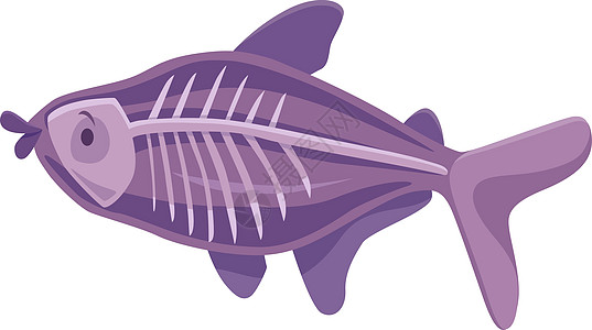 风趣的X射线鱼卡通动物品格图片