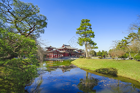 栉田神社平等院旅游目的地高清图片