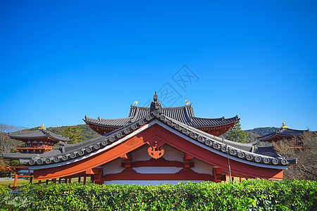 栉田神社有名的凤凰堂 或比奥多因寺庙的胡洛厅文化历史建筑学蓝色场景神社地方花园天空旅游背景