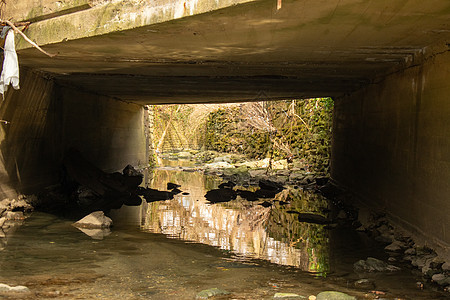 在Fo环绕的混凝土桥下流淌的浅溪树桩生长木头树木风暴岩石植物阳光叶子环境图片