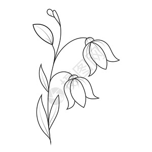 花瓣花朵的空大纲 Doodle 风格大纲是植物草图变体生态概念叶子空白库存插图手绘图片