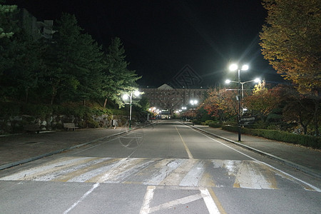 夜里看到铺面行人的道路 或走在树边的路上城市生活后院城市环境树木小路公园旅行植物学建筑学图片