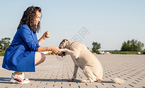 有吸引力的年轻女子在公园里玩她的狗爪子犬类成人友谊幸福女士朋友动物快乐日落图片