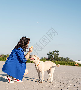 有吸引力的年轻女子在公园里玩她的狗宠物微笑友谊成人幸福混种动物朋友犬类爪子图片