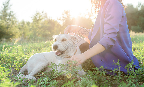 日落时 有魅力的年轻女子在公园拥抱她的狗犬类训练宠物爪子动物朋友成人友谊微笑混种图片