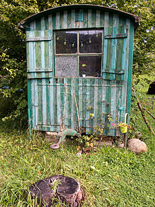 古老风湿的木制承包商在花园里的棚屋木头房子窝棚风化乡村绿色小屋建筑学商棚杂草图片