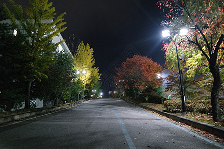 夜里看到铺面行人的道路 或走在树边的路上人行道街道车道树木旅行植物学小路途径旅游后院图片