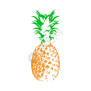 Doodle 风格的菠萝矢量插图 用于主题脱水剪贴簿染色空白水果收成手绘食欲库存异国草图图片
