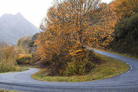 秋天的摇摇道路图片