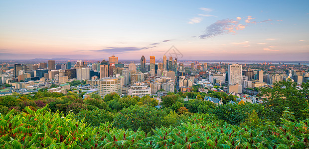 从加拿大日落时的顶端观点看蒙特利尔照明蓝色城市商业旅行摩天大楼建筑地标树叶办公室图片