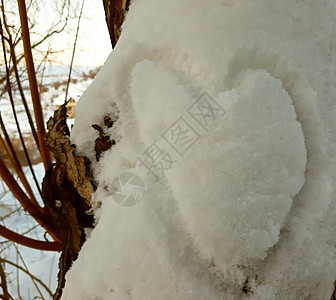 雪上天性心脏的形状 情人节图片