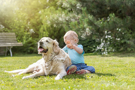 宝宝和狗小男孩在和一只坐在花园里的狗玩耍背景
