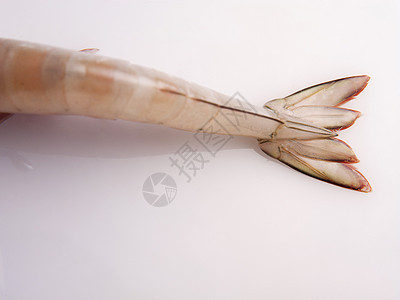 虾尾尾巴食物海鲜摄影尾鳍水平背景图片