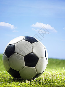 脚球运动黑色闲暇地面场地足球圆形白色游戏绿色图片