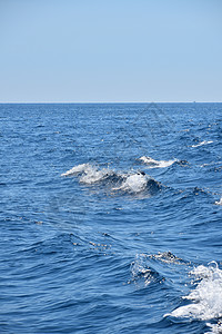 海水波纹和清蓝天空的海景泡沫风景水景波浪海滨蓝色地平线白色场景涟漪图片