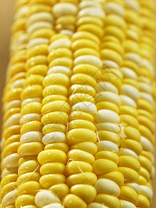 玉米耳朵收成食物营养黄色棒子蔬菜农场粮食叶子图片
