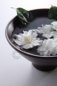 茉菊花植物群香气季节性花园绿色花瓣植物白色花朵叶子图片