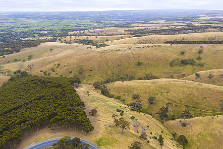 澳大利亚区域地区滚动绿山的空中景象环境棕色林地丘陵衬套地区性植物乡村森林木头图片