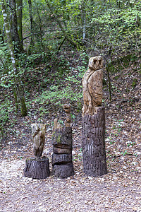 位于树林中的木质内嵌的图腾偶像历史木头部落传统雕像艺术仪式雕塑上帝图片