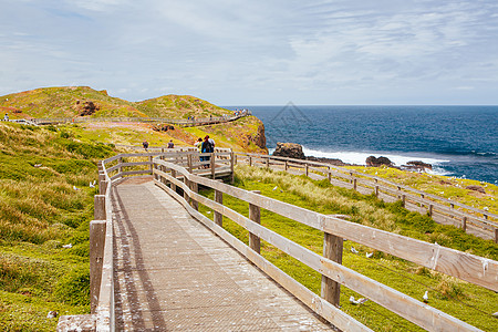 菲利普岛的Nobbies景观蓝色天空海滩旅游海洋旅行海浪场景晴天风景图片