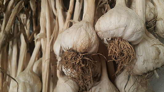 干大蒜灯泡背景的近视宏观植物食物蒜瓣杂货店营养香料厨房团体蔬菜图片