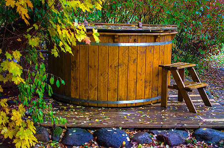 Wooden户外热浴缸 放松的浴室 游泳池 按摩浴缸 在自然界中间有一个梯子图片