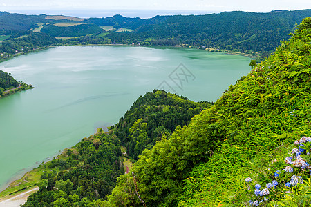 皮科多费罗环境风景植物群火山炉子远景植物天空森林群岛图片