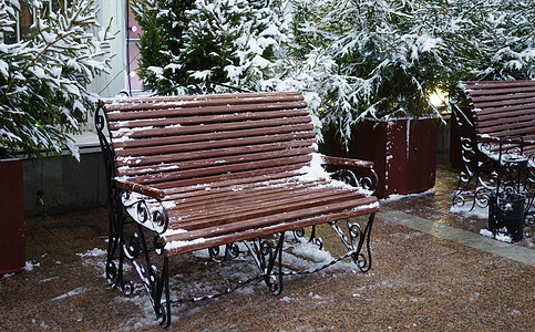 圣诞节装饰旅行行人历史沉淀火鸡建筑学中心街道树木降雪背景图片