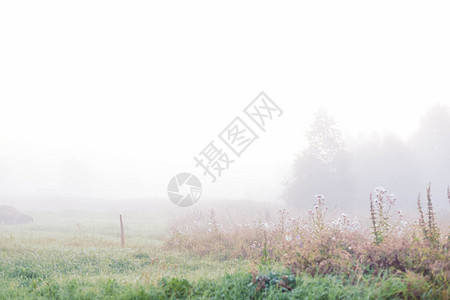 浓雾 村里的乡村景色 在早起的荒雾中风景天气场地国家村庄季节环境阴霾小路旅行图片