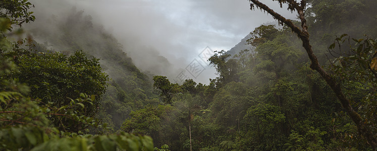 秘鲁的云林 全景图片