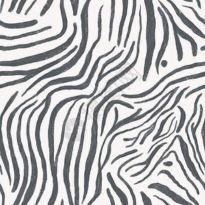 动物印刷品 斑马皮肤 白底的条纹无缝礼品纺织丛林野生动物图案风格包装纸中风装饰品装饰图片