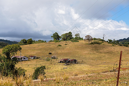 澳大利亚乳奶农牧草的滚山庄园森林干旱滚动天空雨量牧场山谷阳光奶制品树木图片