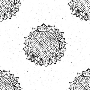 手画草图 背景 打字设计矢量插图的天花月无缝模式海报花瓣包装绘画织物涂鸦向日葵剪贴簿艺术墙纸图片