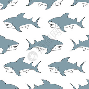 鲨鱼无缝模式 手画图纸涂鸦鲨鱼 矢量插图球座卡通片包装绘画墙纸手绘牙齿荒野潜水草图图片