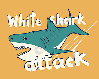 剪切鲨鱼手画草图 T恤衫印刷品设计矢量插图鲨鱼海报海浪潜水球座海洋打印手绘吉祥物游泳图片
