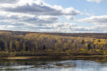 美丽的大河秋天 在树林里季节公园木头叶子溪流风景天空流动橙子反射图片