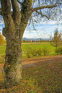 德意志高地的国里长季节性天气谷仓艺术牧歌草原天空草地全景绿色图片