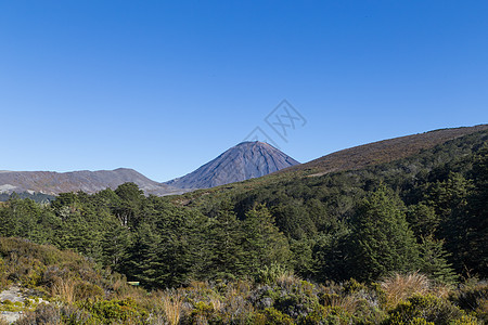 Ngaruruhoe山视图国家公吨公园锥体首脑旅游远足登山旅行场地图片