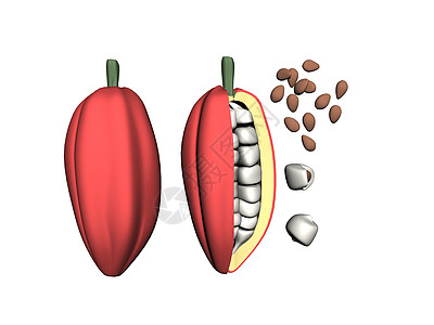 配有巧克力种子的红可可豆图片