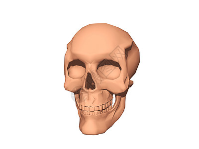 头骨 骨头和下巴骷髅眼窝牙齿棕色颧骨下颚背景图片