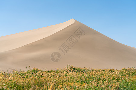 沙漠周围有绿荒野天空气候植物沙丘干旱曲线场地旅行风景图片