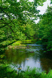 梅尔西河 Kejimkujik国家公园荒野岩石森林新星绿色植物科技风景旅游蓝色环境图片