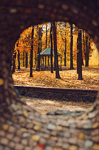 秋天晴朗的风景 公园内的道路通向凉亭 在阳光明媚的 10 月一天 秋天的树木公园和落在公园地上的秋叶 设计模板 复制空间橙子环境图片