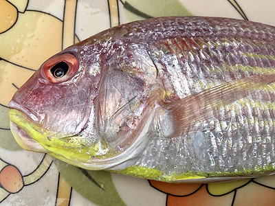 市场上新鲜的红松鼠鱼 特写准备出售的红松鼠鱼头部眼睛美食摊位海鲜动物营养食品鲤鱼饮食午餐图片