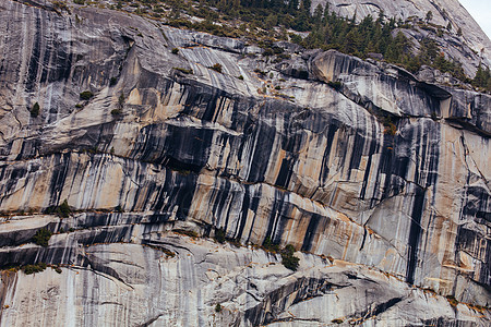 美国Yosemite 山谷和Meadows天空松树草地隧道旅游荒野薄雾全景公园地标图片