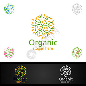草药 生态 健康 瑜伽 食品或农场概念的天然和有机Logo设计模板环境水果植物叶子推广插图食物疗法树叶品牌图片